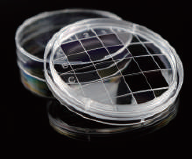 Petri Dishes11