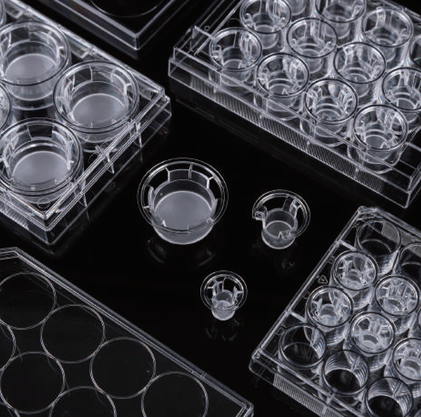 Cell Culture Insert