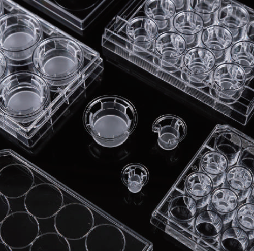 Cell Culture Insert