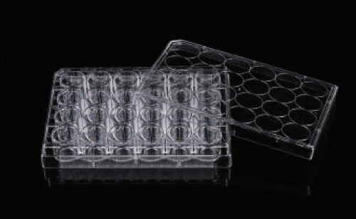 Glass Bottom Cell Culture Dish & Plate
