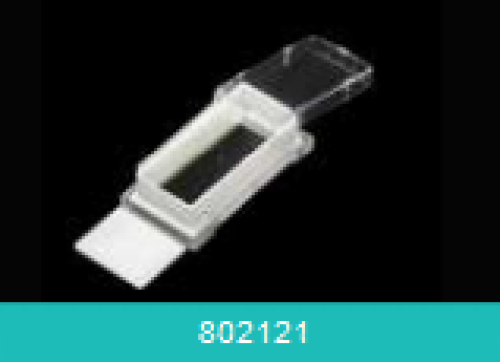 Cell Culture Slide