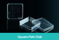 Petri Dishes