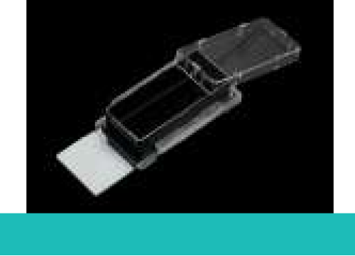 Cell Culture Slide