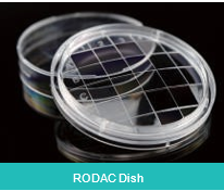 Petri Dishes